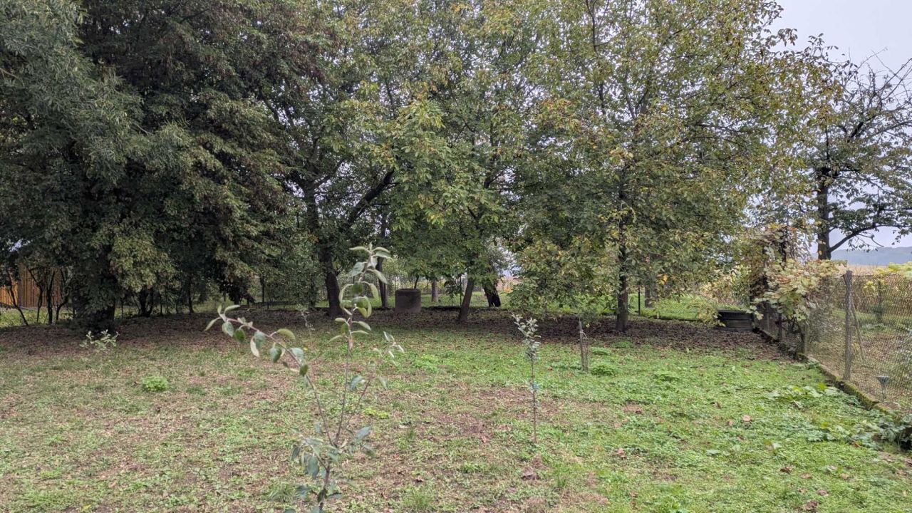 gospodarstwo Wacławice. Zdjęcie 8