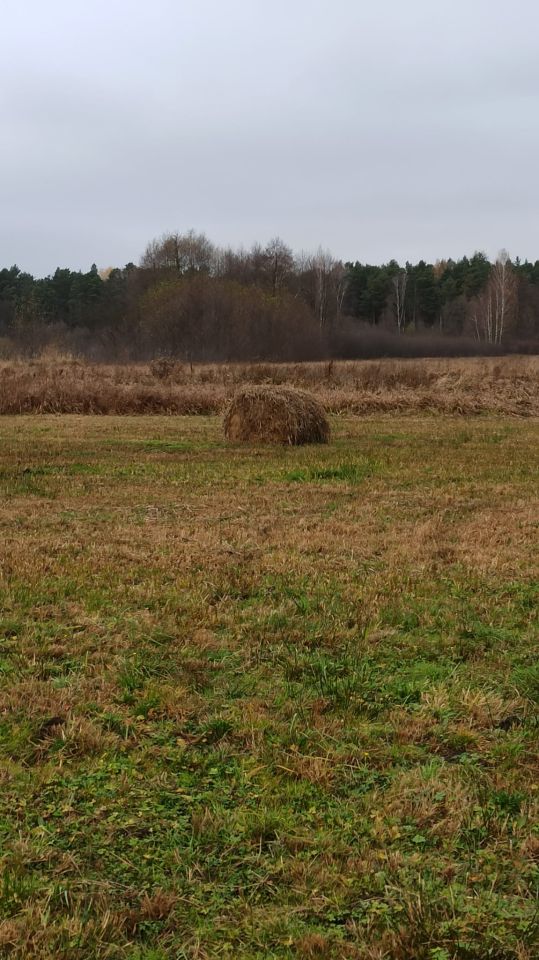 Działka rolna Doleck. Zdjęcie 3