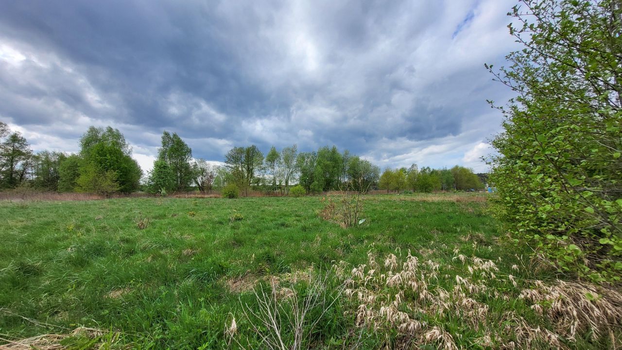 Działka budowlana Górzyn. Zdjęcie 14