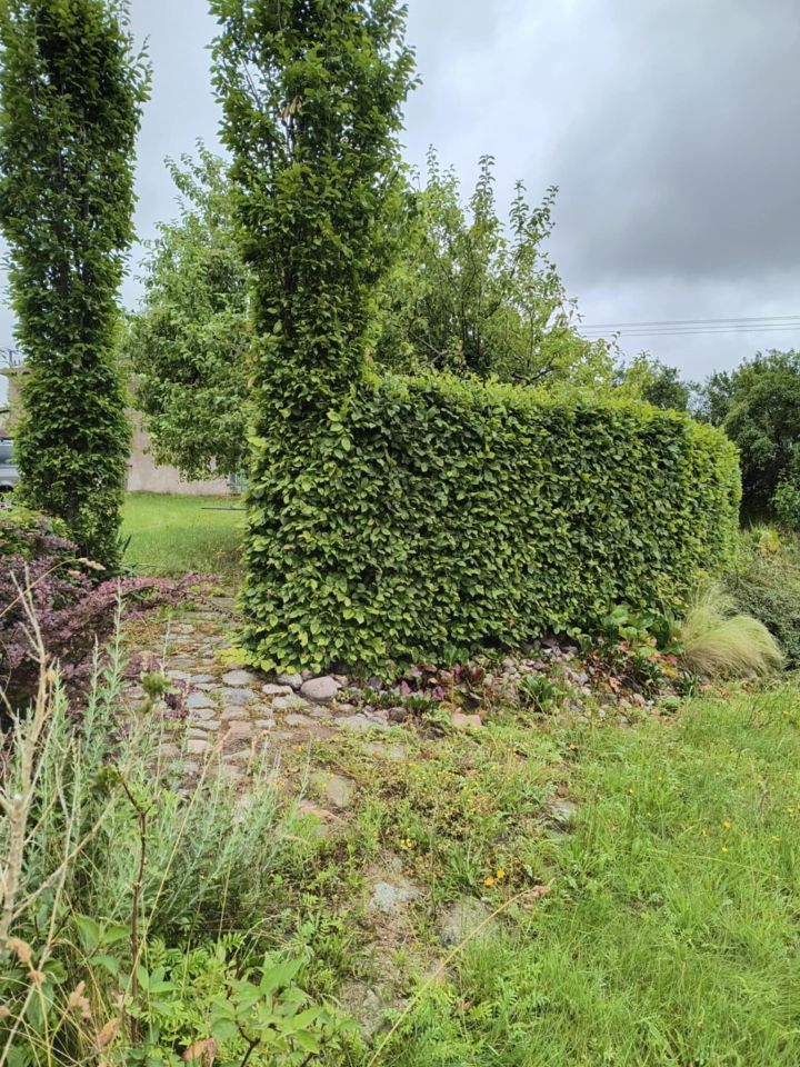 Działka siedliskowa Warzno, ul. Na Skarpie. Zdjęcie 6