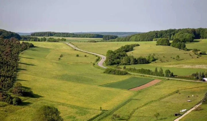 Działka inwestycyjna Kraków Dębniki, ul. Księdza Franciszka Trockiego
