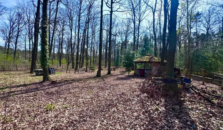 Działka leśna Tłokinia Wielka