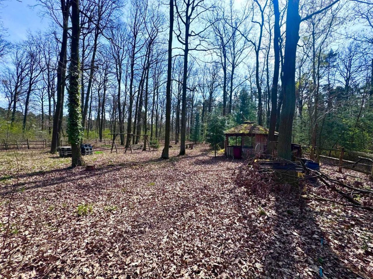 Działka leśna Tłokinia Wielka. Zdjęcie 1