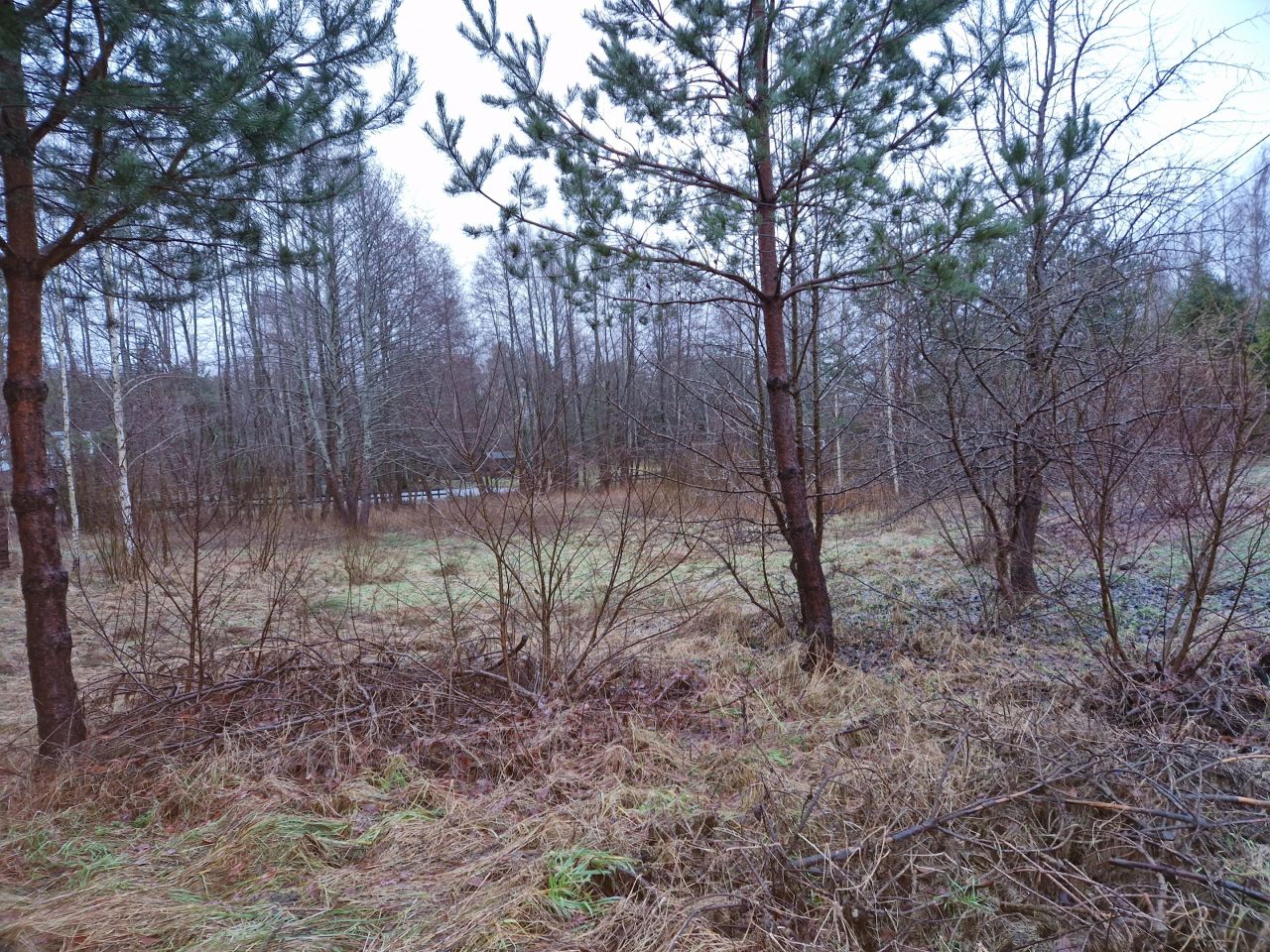 Działka budowlana Bartoszylas. Zdjęcie 16