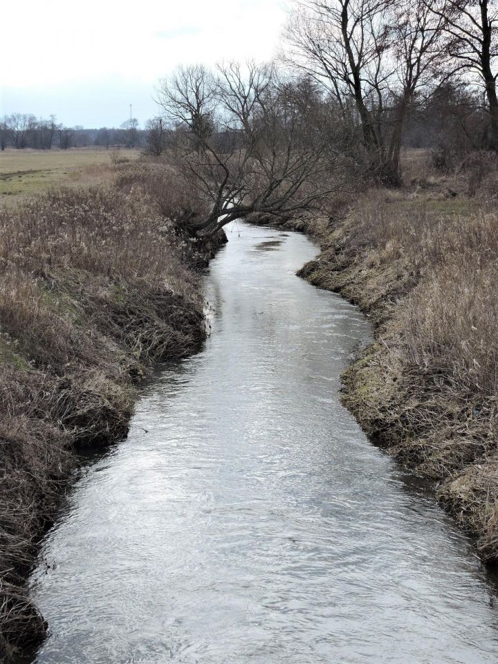 Działka rolna Kąck, ul. Malownicza. Zdjęcie 8
