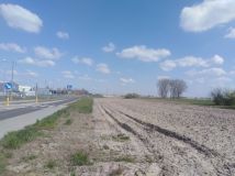 Działka rolno-budowlana Święcice, ul. Zaborowska. Zdjęcie 2