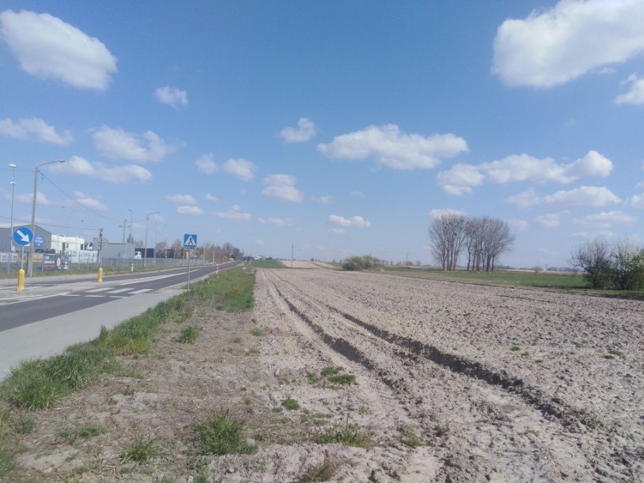 Działka rolno-budowlana Święcice, ul. Zaborowska. Zdjęcie 3