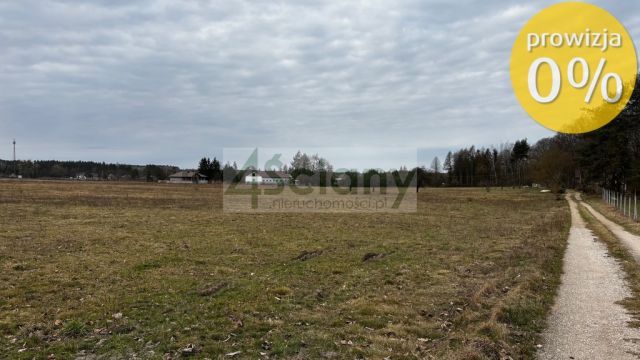 Działka rolna Chudolipie. Zdjęcie 3