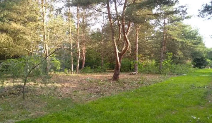 Działka budowlana Bartoszówka, ul. Pogodna