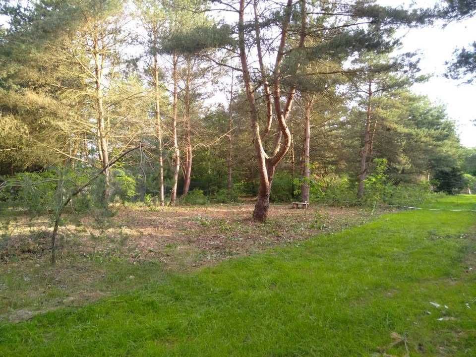 Działka budowlana Bartoszówka, ul. Pogodna. Zdjęcie 1