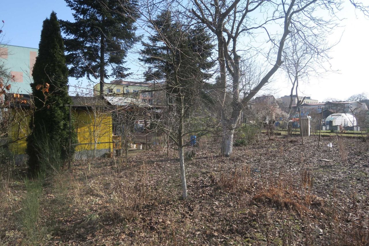 Działka rod Kostrzyn nad Odrą. Zdjęcie 3