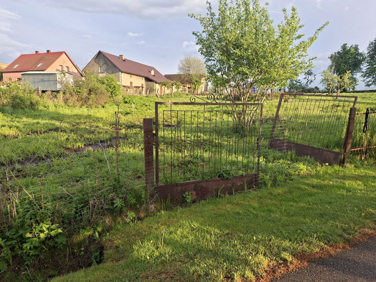 Działka inwestycyjna Widów. Zdjęcie 8