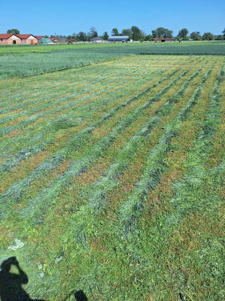 Działka budowlana Ludów Śląski. Zdjęcie 3