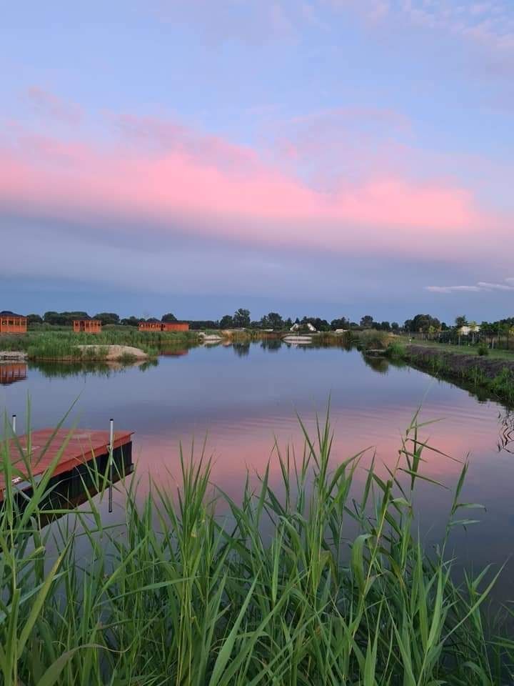 Działka budowlana Prądocin. Zdjęcie 2