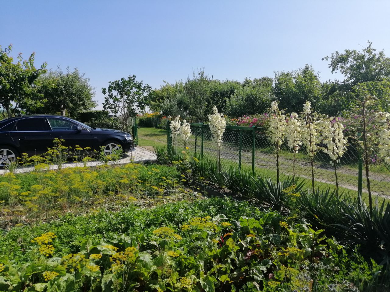 Działka rod Kołobrzeg, ul. Bolesława Krzywoustego. Zdjęcie 30