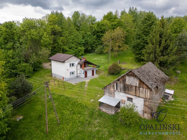dom wolnostojący, 4 pokoje Łopuszka Wielka. Zdjęcie 4
