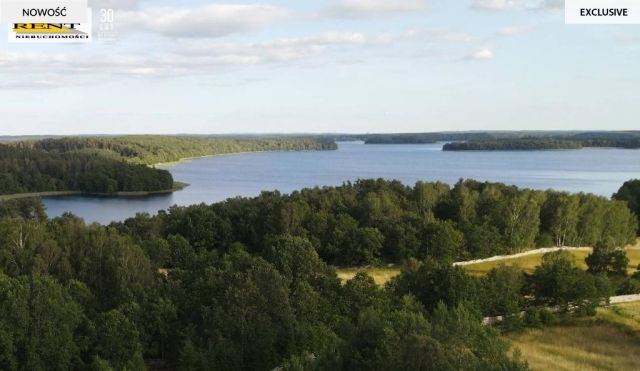 Działka siedliskowa Siecino. Zdjęcie 3
