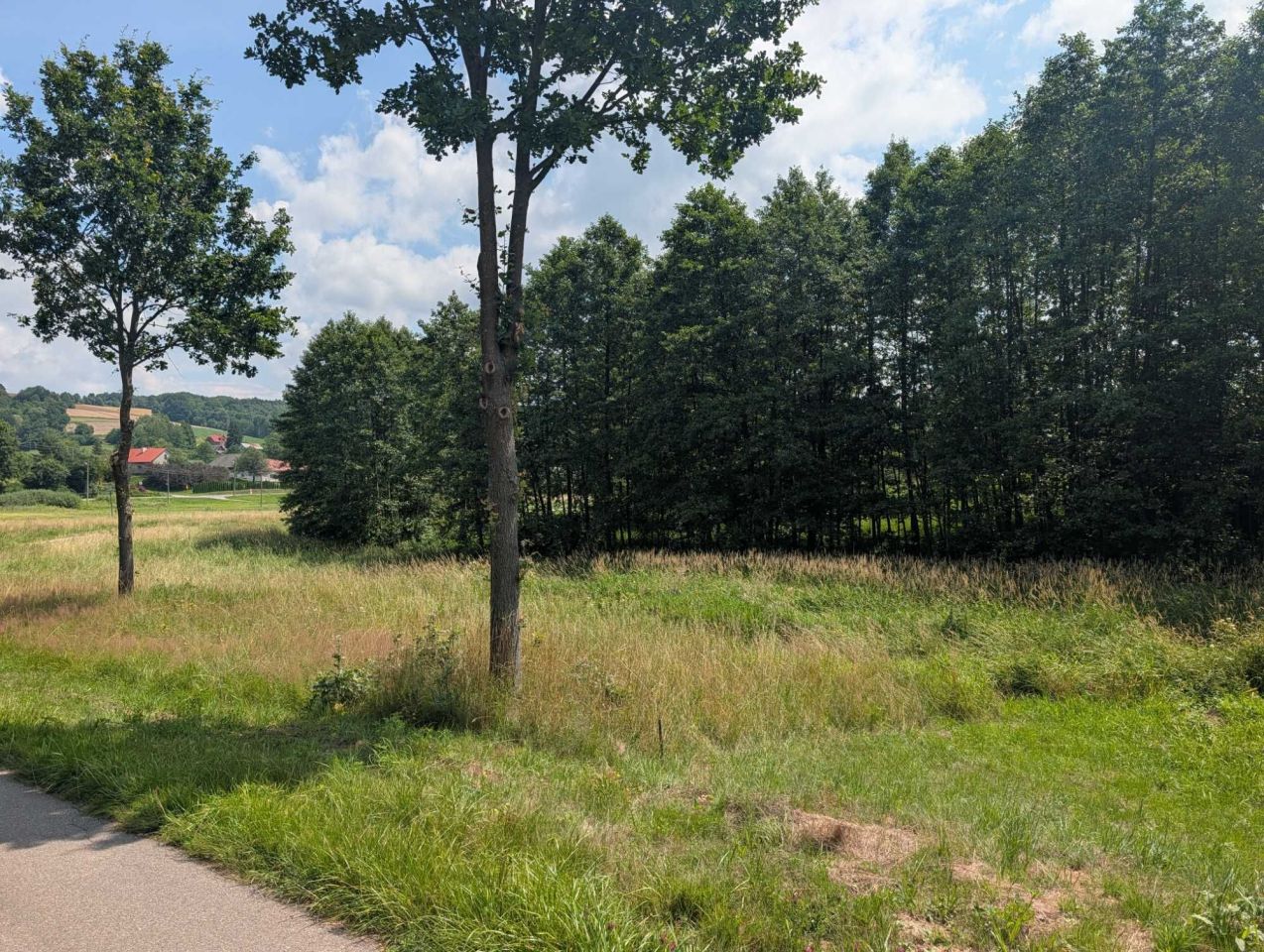 Działka budowlana Grodzisko. Zdjęcie 2