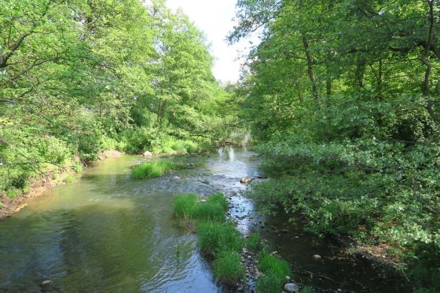 Działka rolna Glinianka, ul. Szkolna. Zdjęcie 5