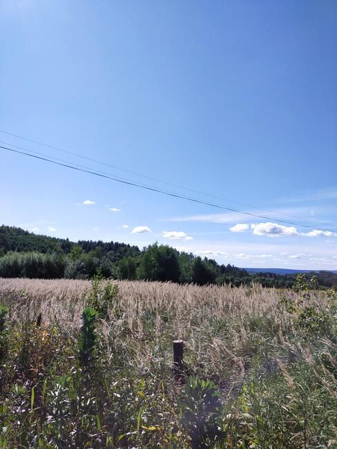 Działka rolna Hucisko Nienadowskie. Zdjęcie 5