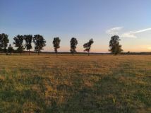 Działka budowlana Karkoszów. Zdjęcie 3