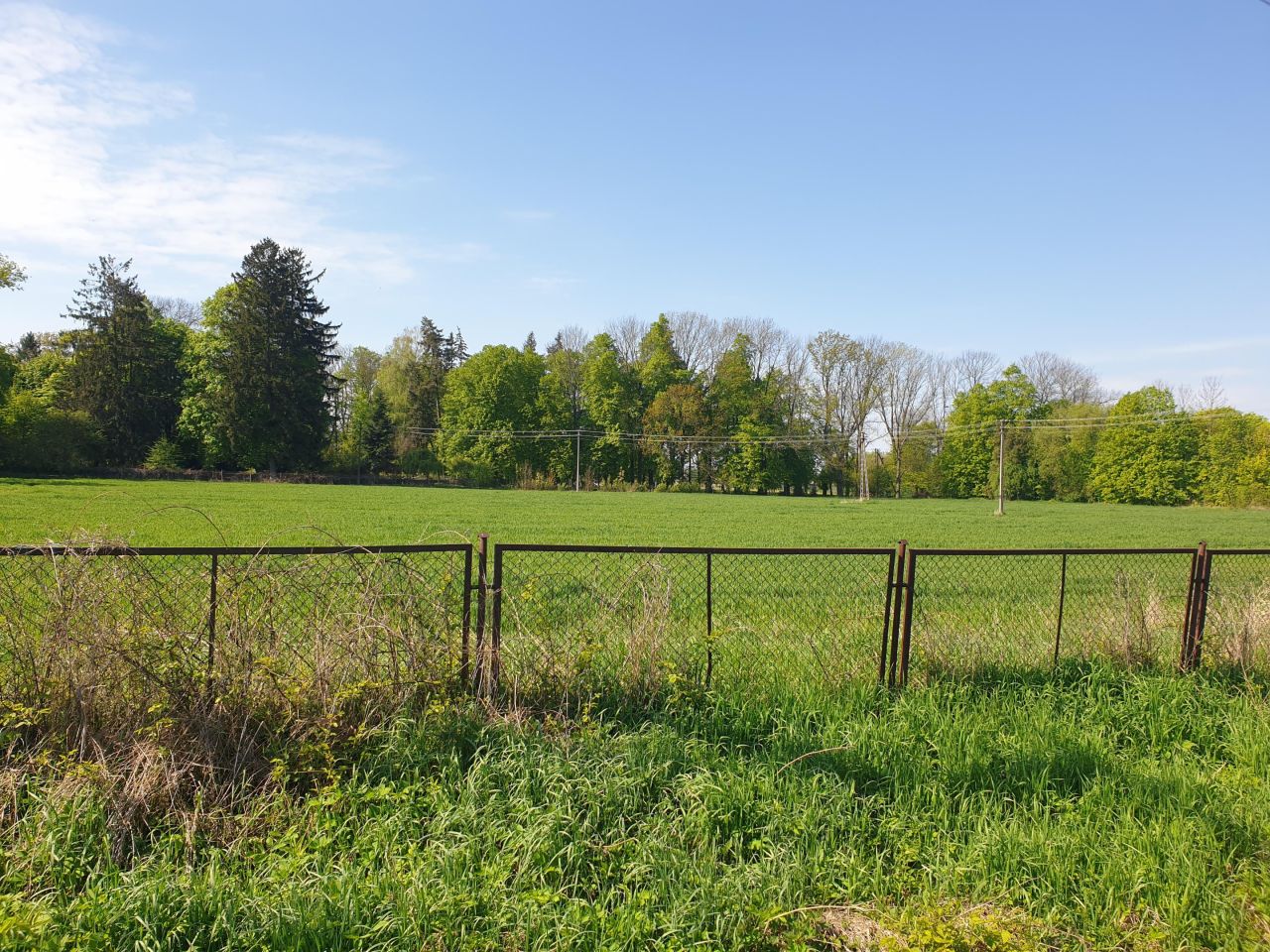 Działka inna Bezwola Rokosz, ul. Bezwola Stara Wieś. Zdjęcie 7
