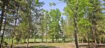 Działka budowlana Studnie. Zdjęcie 2