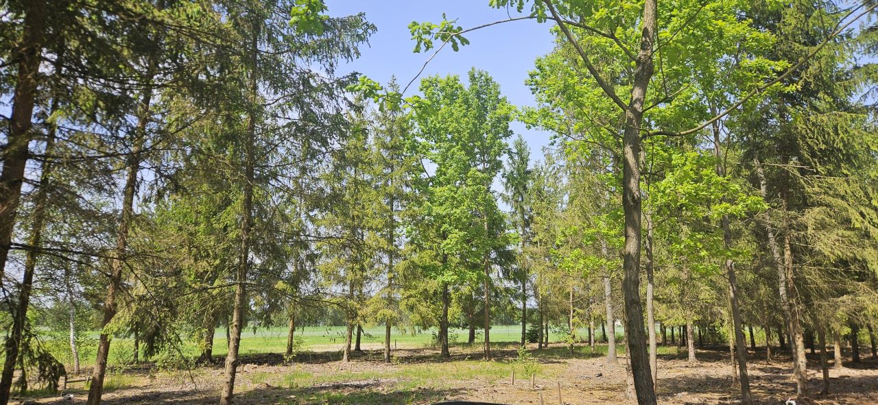 Działka budowlana Studnie. Zdjęcie 3