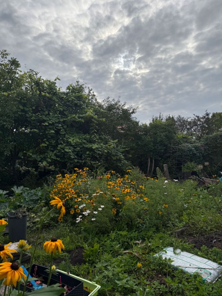 Działka rod Giżycko. Zdjęcie 4