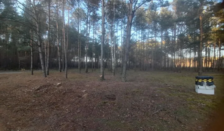 Działka budowlana Krzemień