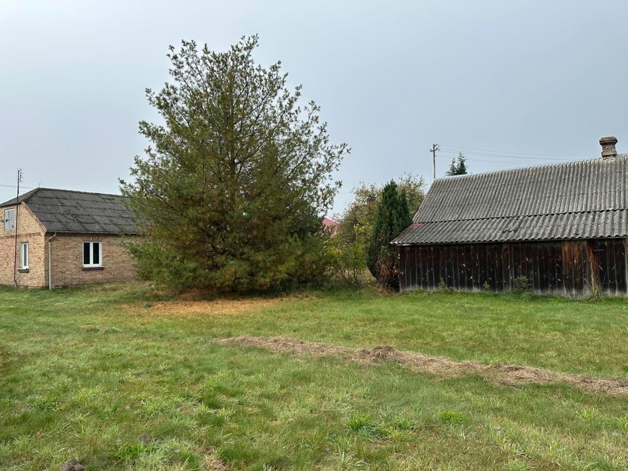 Działka siedliskowa Tuczna. Zdjęcie 6