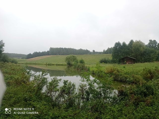 Działka rolno-budowlana Huta-Chojno. Zdjęcie 1
