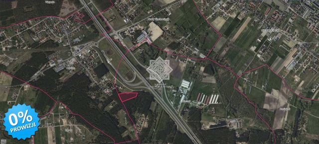 Działka leśna Kuczek. Zdjęcie 5