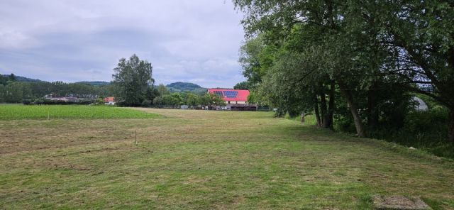 Działka siedliskowa Komarno. Zdjęcie 2