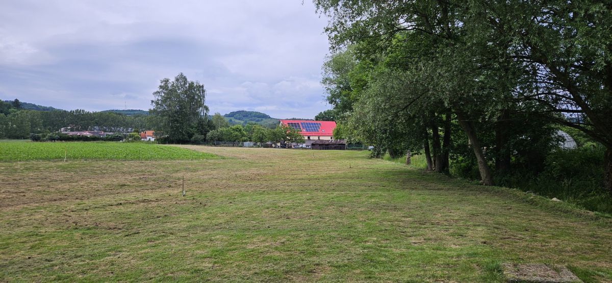 Działka siedliskowa Komarno. Zdjęcie 2