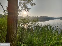 Działka leśna Sąpolno. Zdjęcie 2