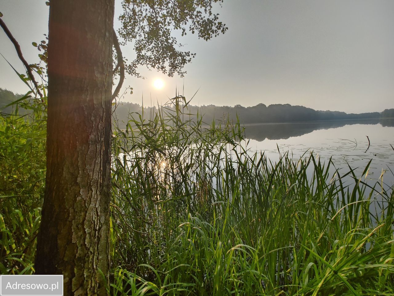 Działka leśna Sąpolno. Zdjęcie 3