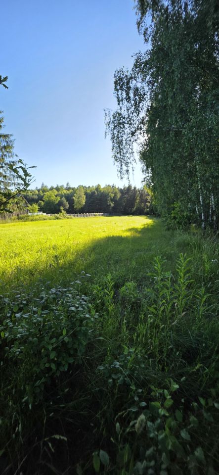 Działka budowlana Jarząbka Czary. Zdjęcie 2