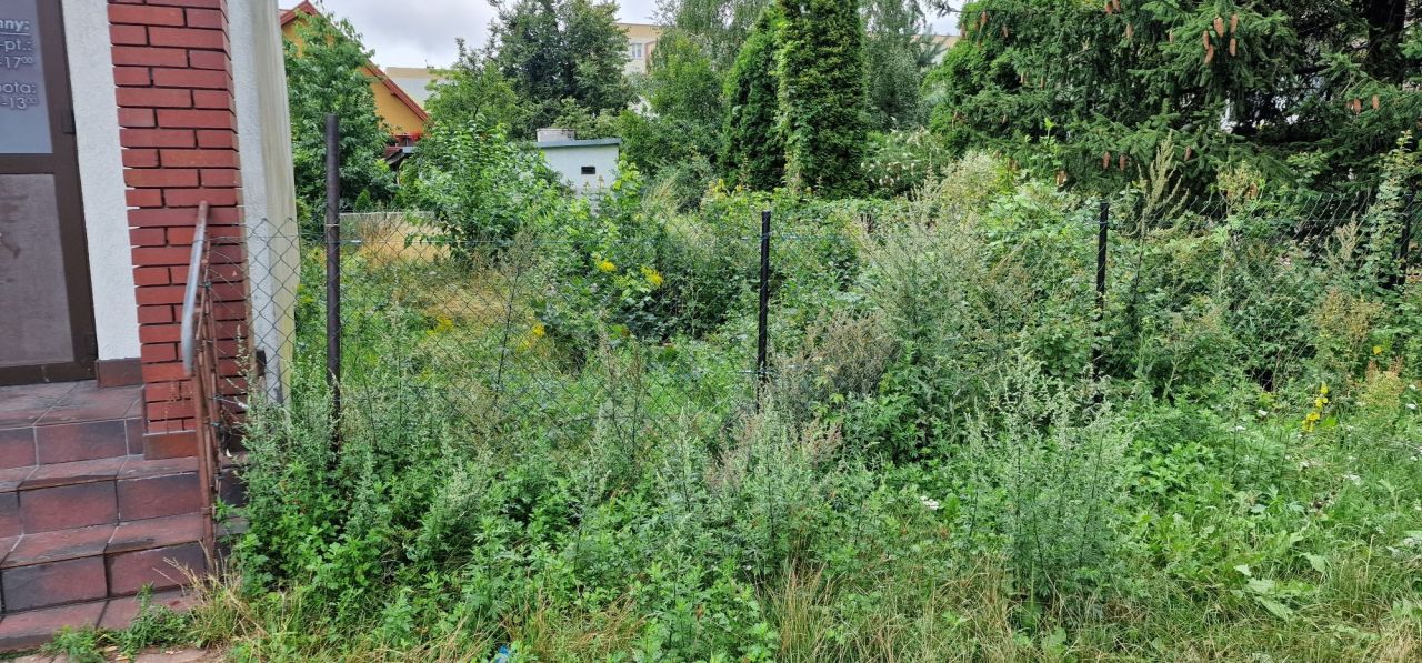 Działka budowlana Ostrowiec Świętokrzyski, ul. 11 Listopada