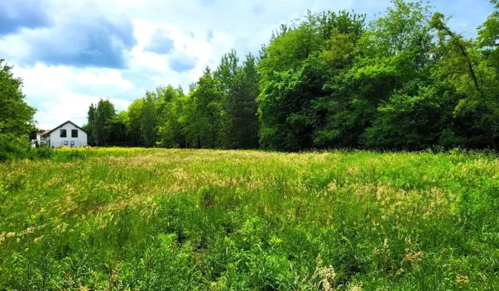Działka budowlana Łódź Polesie, ul. Jagodnica