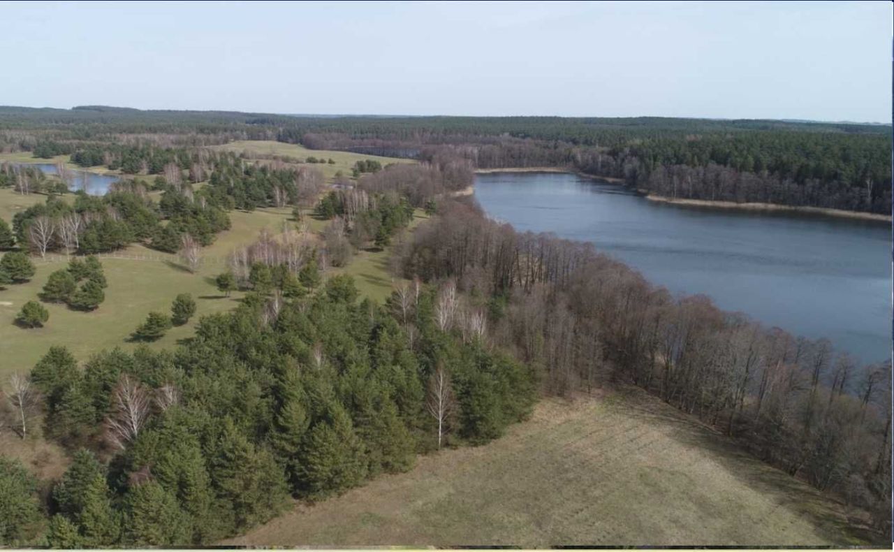 Działka rolno-budowlana Elganowo. Zdjęcie 4