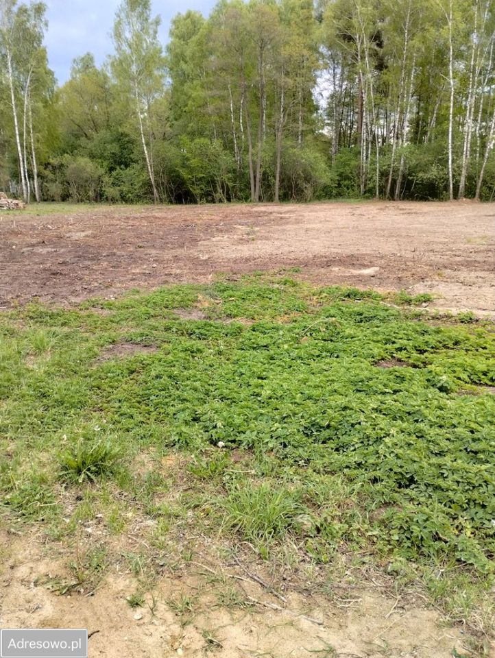 Działka budowlana Rogowo. Zdjęcie 3