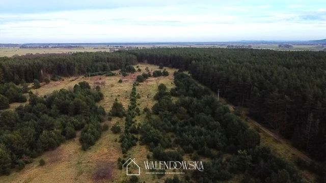 Działka Smołdzino. Zdjęcie 3