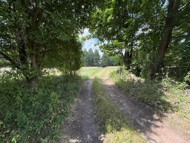 Działka budowlana Zielkowo. Zdjęcie 10