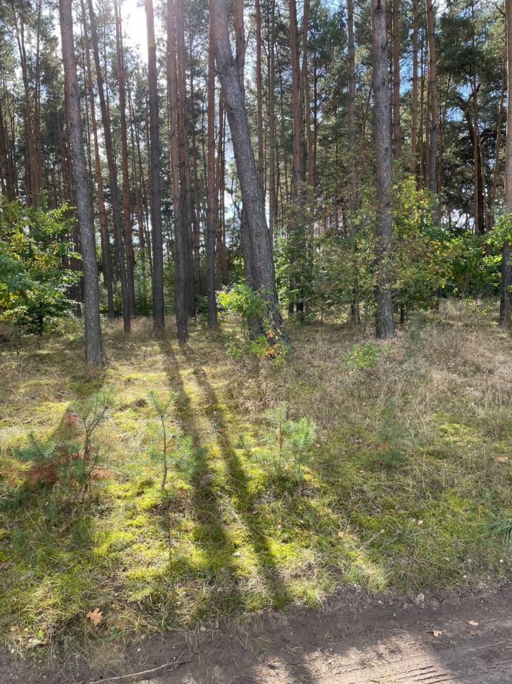 Działka budowlana Cierpice, ul. Pocztowa. Zdjęcie 4