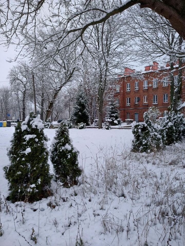 Mieszkanie 2-pokojowe Ostrołęka Wojciechowice, al. Wojska Polskiego. Zdjęcie 3