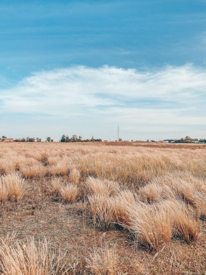 Działka budowlana Barcin-Wieś. Zdjęcie 4