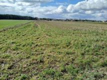 Działka inwestycyjna Jasiony. Zdjęcie 2