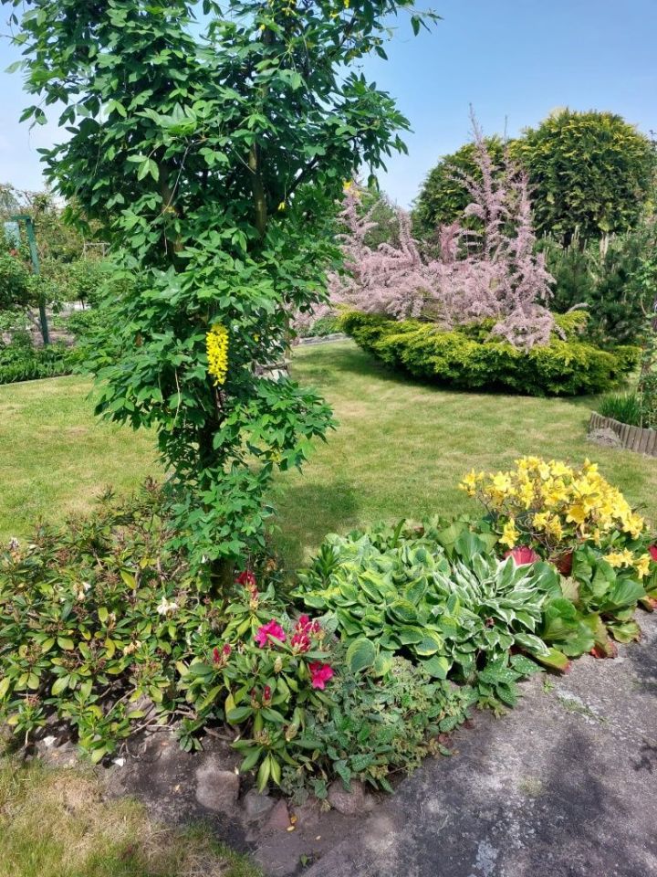 Działka rod Ostrów Wielkopolski. Zdjęcie 8