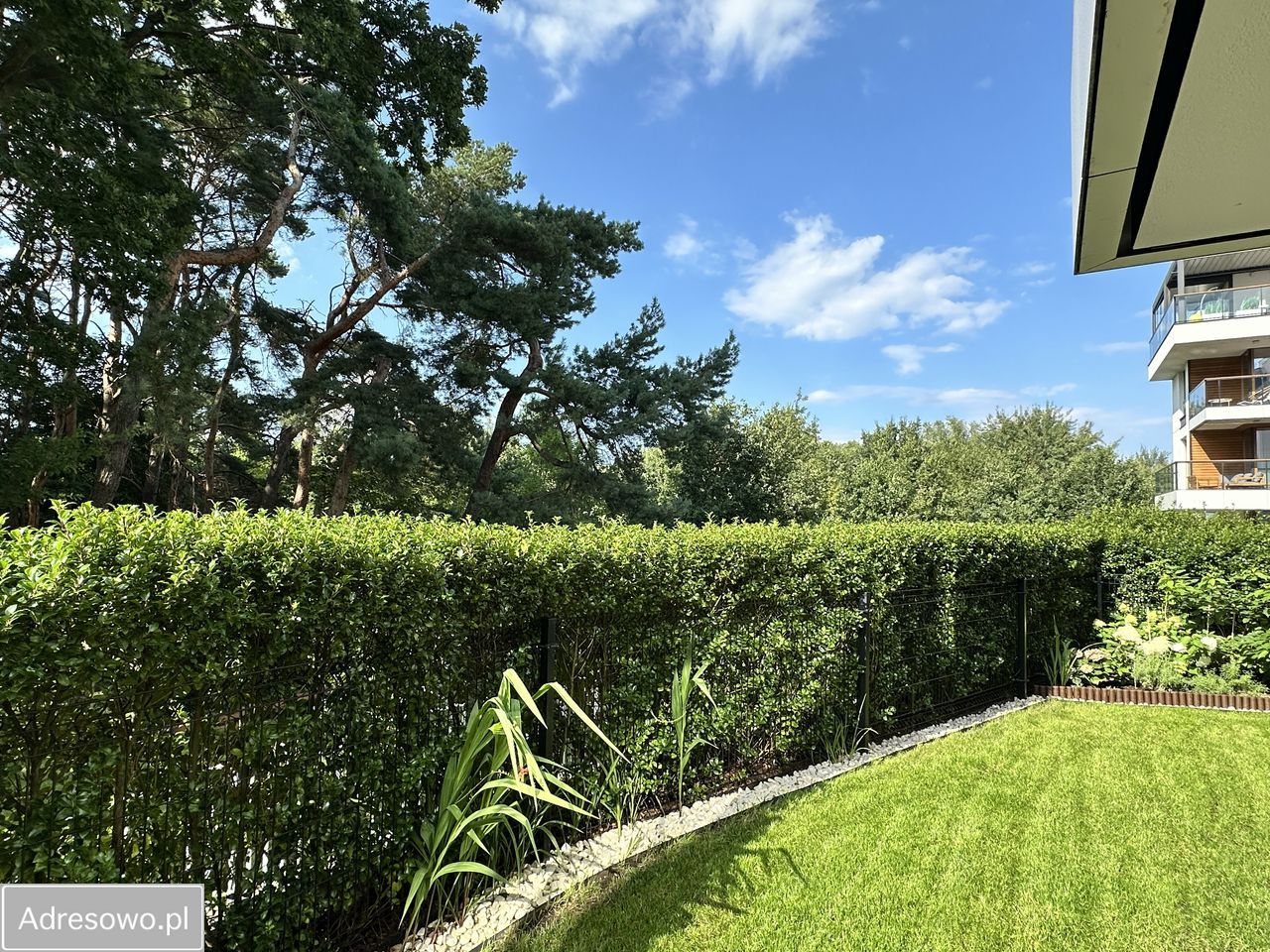 Mieszkanie 3-pokojowe Gdańsk Brzeźno. Zdjęcie 19